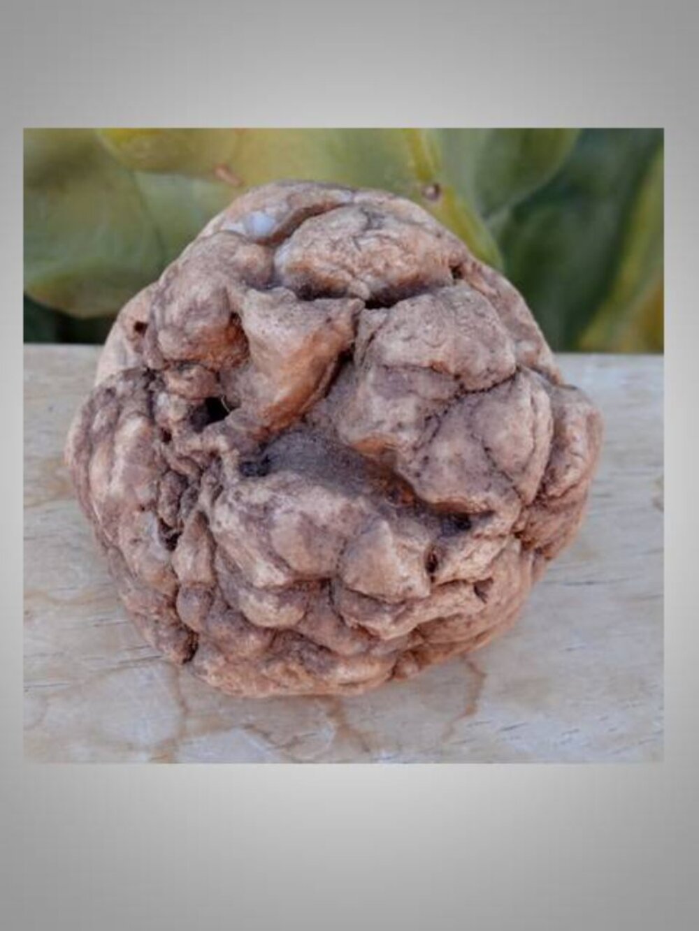 pinecone shaped rock stone - Picture 3 of 5